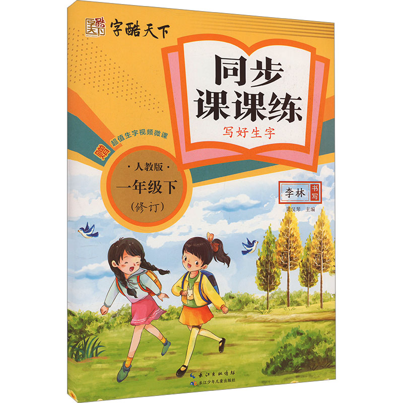  同步课课练 写好生字 1年级下 人教版 