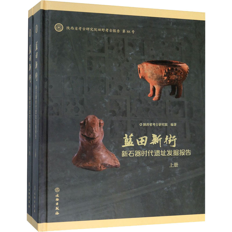  蓝田新街 新石器时代遗址发掘报告(全2册) 