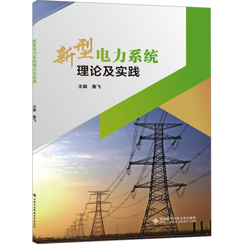  新型电力系统理论及实践 