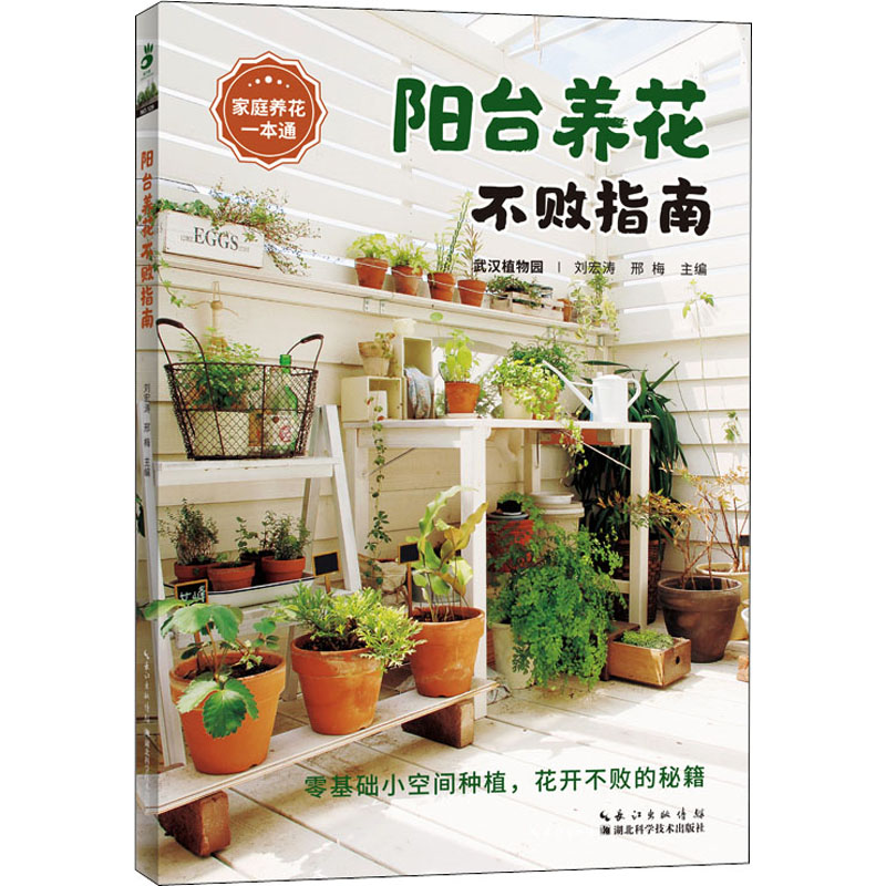  阳台养花不败指南 