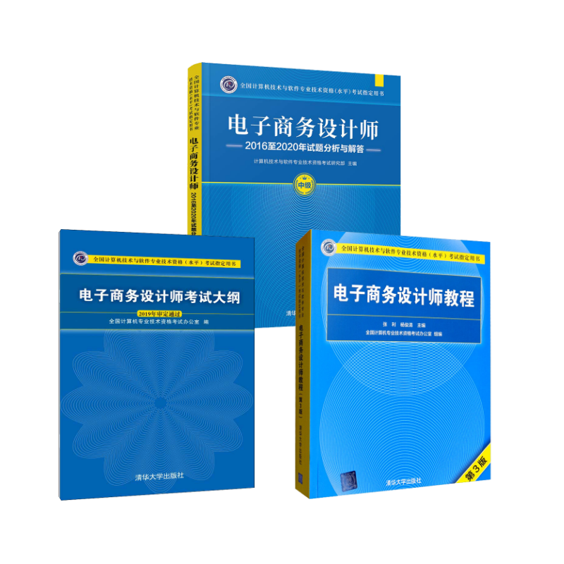  全国计算机技术与软件专业技术资格(水平)考试指定用书•电子商务设计师教程+大纲+试题分析与解答 