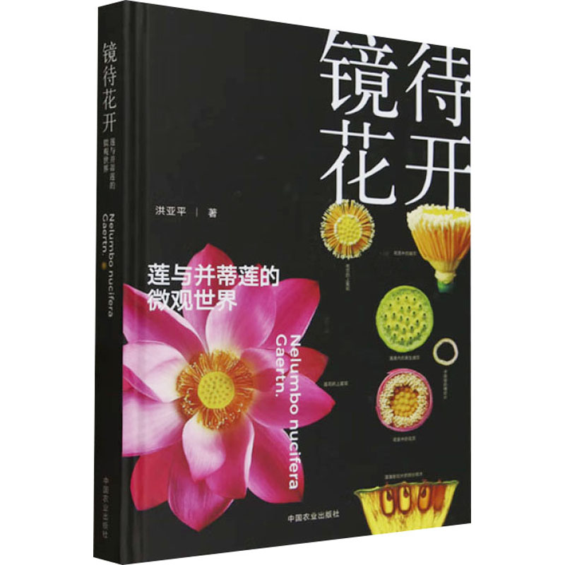  镜待花开 莲与并蒂莲的微观世界 