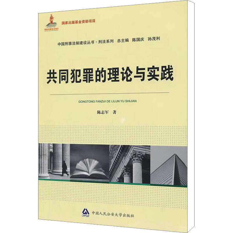  共同犯罪的理论与实践 