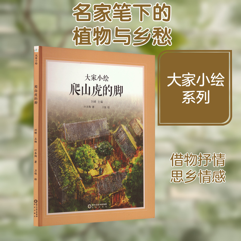爬山虎的脚