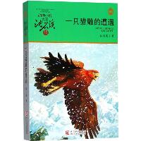 动物小说大王沈石溪·品藏书系•一只猎雕的遭遇（升级版）