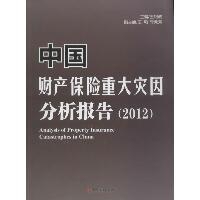 中国财产保险重大宰因分析报告2012