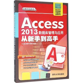Access2013数据库管理与应用从新手到高手